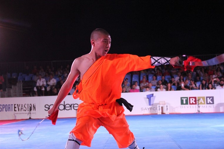 Martial Arts Festival